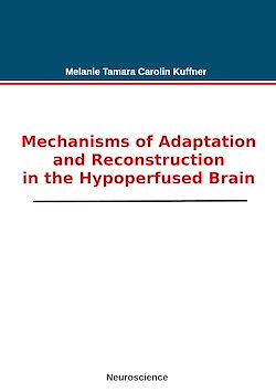 Télécharger le livre :  Mechanisms of Adaptation and Reconstruction in the Hypoperfused Brain