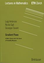 Télécharger le livre :  Gradient Flows