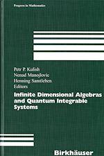 Télécharger le livre :  Infinite Dimensional Algebras and Quantum Integrable Systems