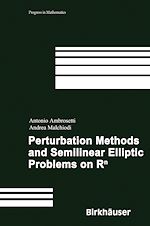 Télécharger le livre :  Perturbation Methods and Semilinear Elliptic Problems on R^n