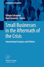 Télécharger le livre :  Small Businesses in the Aftermath of the Crisis