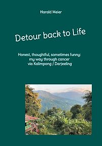 Téléchargez le livre :  Detour back to Life