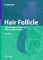 Télécharger le livre :  Hair Follicle