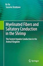 Télécharger le livre :  Myelinated Fibers and Saltatory Conduction in the Shrimp
