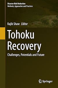 Télécharger le livre :  Tohoku Recovery