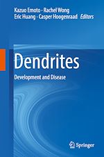 Télécharger le livre :  Dendrites