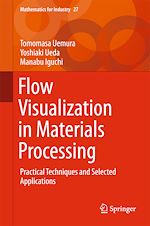 Download this eBook Flow Visualization in Materials Processing