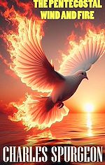 Télécharger le livre :  The Pentecostal Wind and Fire
