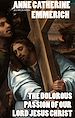Télécharger le livre :  The Dolorous Passion of Our Lord Jesus Christ. Illustrated