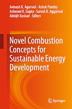 Télécharger le livre :  Novel Combustion Concepts for Sustainable Energy Development