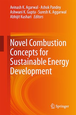 Téléchargez le livre :  Novel Combustion Concepts for Sustainable Energy Development