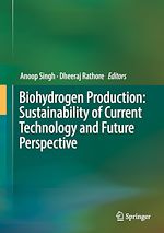 Télécharger le livre :  Biohydrogen Production: Sustainability of Current Technology and Future Perspective