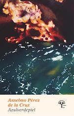 Télécharger le livre :  Azulverdepiel