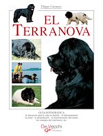 Télécharger le livre :  El terranova