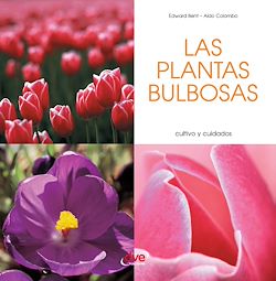 Télécharger le livre :  Las plantas bulbosas - Cultivo y cuidados