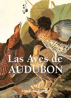 Télécharger le livre :  Las Aves de Audubon