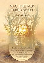 Télécharger le livre :  Nachiketas' Third Wish