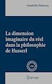 Télécharger le livre :  La dimension imaginaire du réel dans la philosophie de Husserl