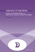 Download this eBook Labyrinth of Hybridities