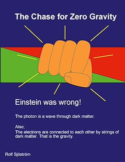 Télécharger le livre :  The Chase for Zero Gravity