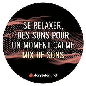 Téléchargez le livre :  Mix de sons