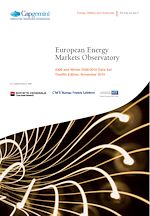 Télécharger le livre :  European Energy Markets Observatory (2010)