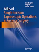 Télécharger le livre :  Atlas of Single-Incision Laparoscopic Operations in General Surgery