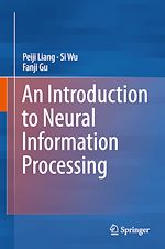 Télécharger le livre :  An Introduction to Neural Information Processing