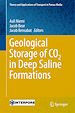 Télécharger le livre :  Geological Storage of CO2 in Deep Saline Formations