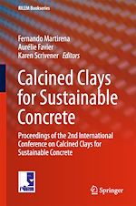 Télécharger le livre :  Calcined Clays for Sustainable Concrete