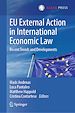 Télécharger le livre :  EU External Action in International Economic Law