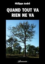 Télécharger le livre :  Quand tout va rien ne va