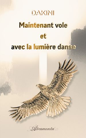 Téléchargez le livre :  Maintenant vole et avec la lumière danse