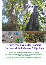 Download this eBook Endangered Valuable Tropical Hardwoods in Palawan Philippines