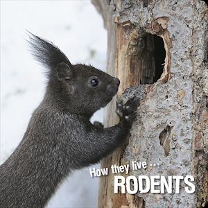 Téléchargez le livre :  How they live... Rodents