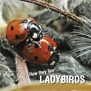 Téléchargez le livre :  How they live... Ladybirds