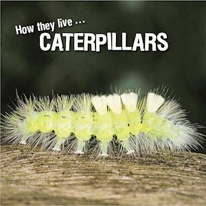 Téléchargez le livre :  How they live... Caterpillars