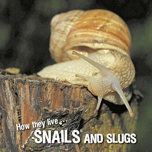 Téléchargez le livre :  How they live... Snails and Slugs