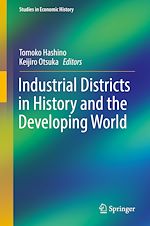 Download this eBook Industrial Districts in History and the Developing World