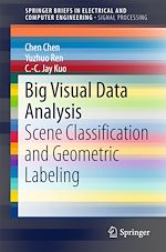 Télécharger le livre :  Big Visual Data Analysis