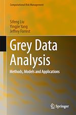 Télécharger le livre :  Grey Data Analysis