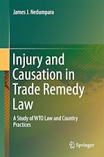 Télécharger le livre :  Injury and Causation in Trade Remedy Law