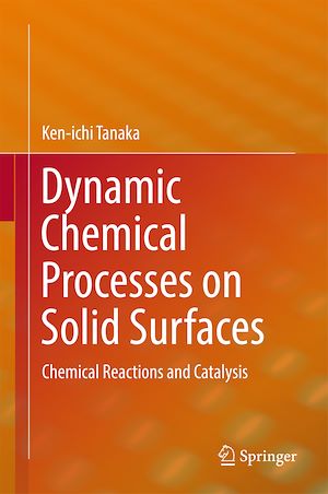 Téléchargez le livre :  Dynamic Chemical Processes on Solid Surfaces
