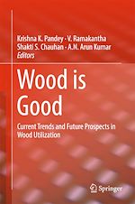 Télécharger le livre :  Wood is Good
