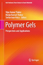 Télécharger le livre :  Polymer Gels