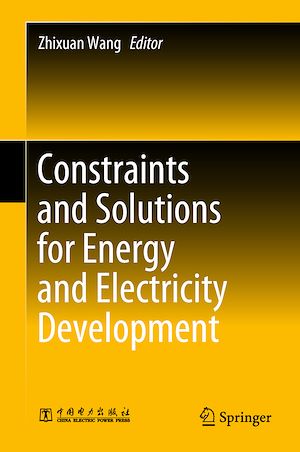 Téléchargez le livre :  Constraints and Solutions for Energy and Electricity Development