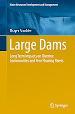 Download this eBook Large Dams