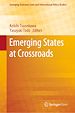 Télécharger le livre :  Emerging States at Crossroads