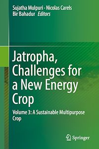 Télécharger le livre :  Jatropha, Challenges for a New Energy Crop