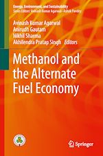 Télécharger le livre :  Methanol and the Alternate Fuel Economy